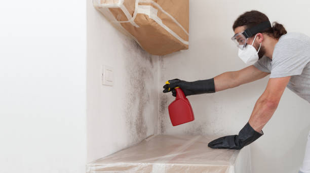 Professional Mold Inspection technician working in Newton Upper Falls, MA
